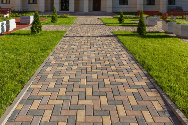 Best Driveway Paving Company  in Jacksonville, NC